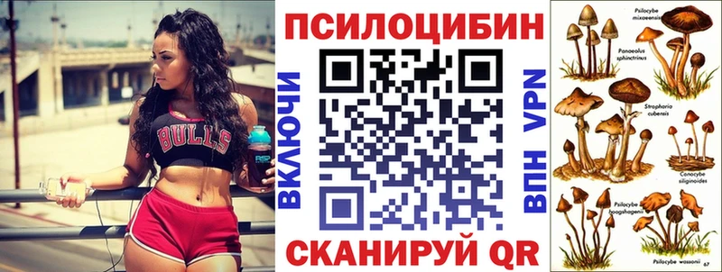 Купить где  Юрюзань  Псилоцибиновые грибы GOLDEN TEACHER 